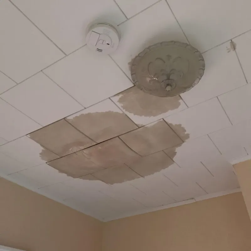 Ceiling Water Damage Repair in Woodson County, KS