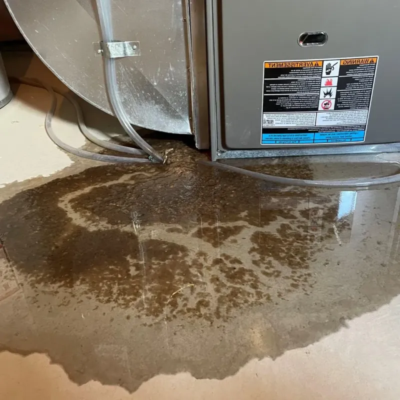 Pipe Burst and Leak Restoration in Woodson County, KS