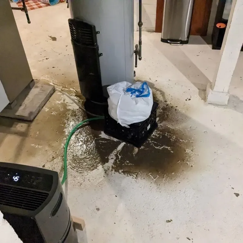 Sewage Backup Cleanup Service in Woodson County, KS